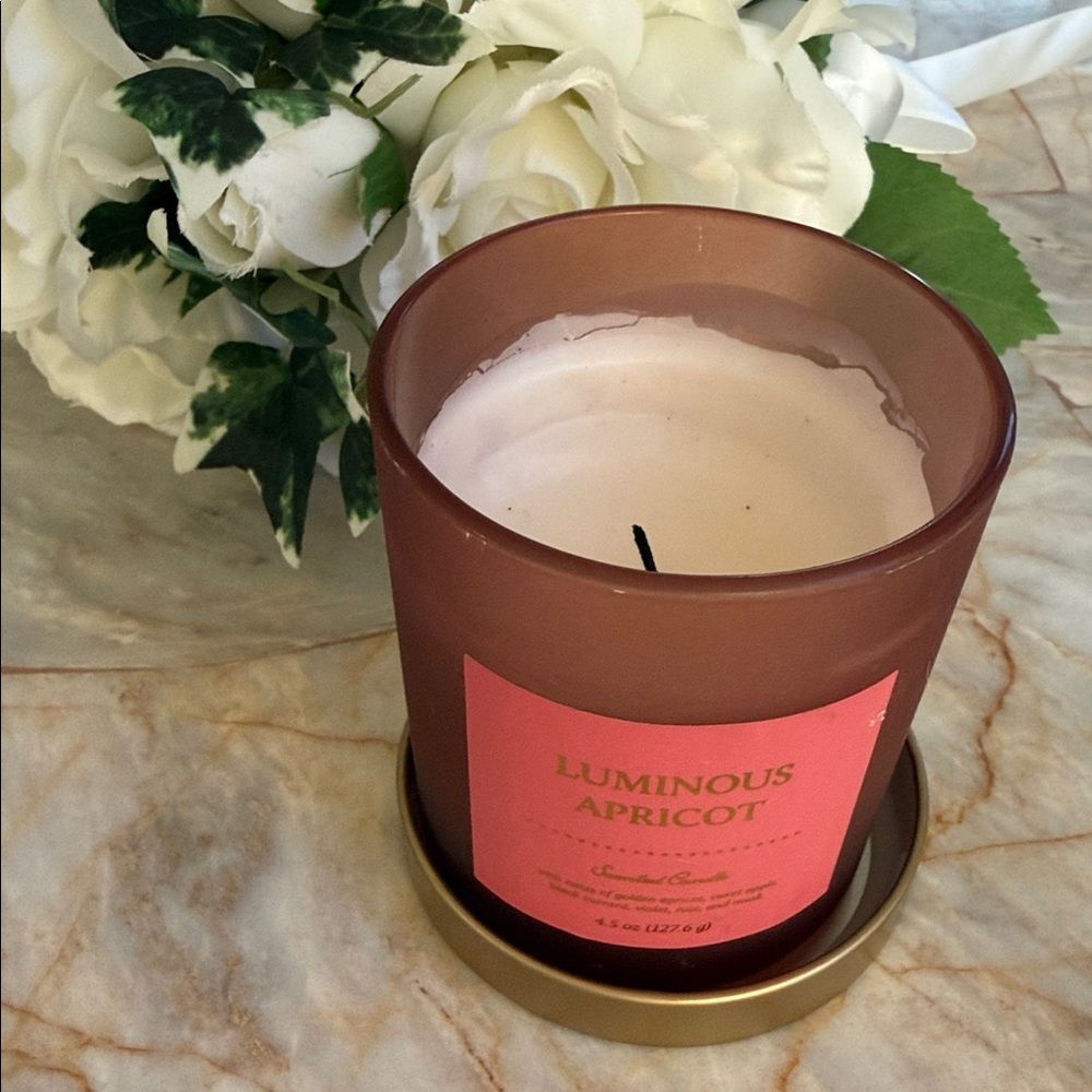Threshold Luminous Apricot Scented Candle 4.5 oz Frosted Glass Gold Lid